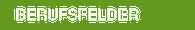 BERUFSFELDER