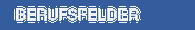 BERUFSFELDER